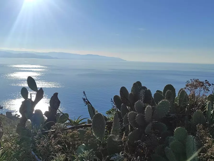 Immagine 1 di Casa trifamiliare in vendita  in Via Baronia 35 a Milazzo