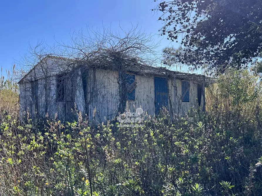 Immagine 9 di Terreno in vendita  a Marsala