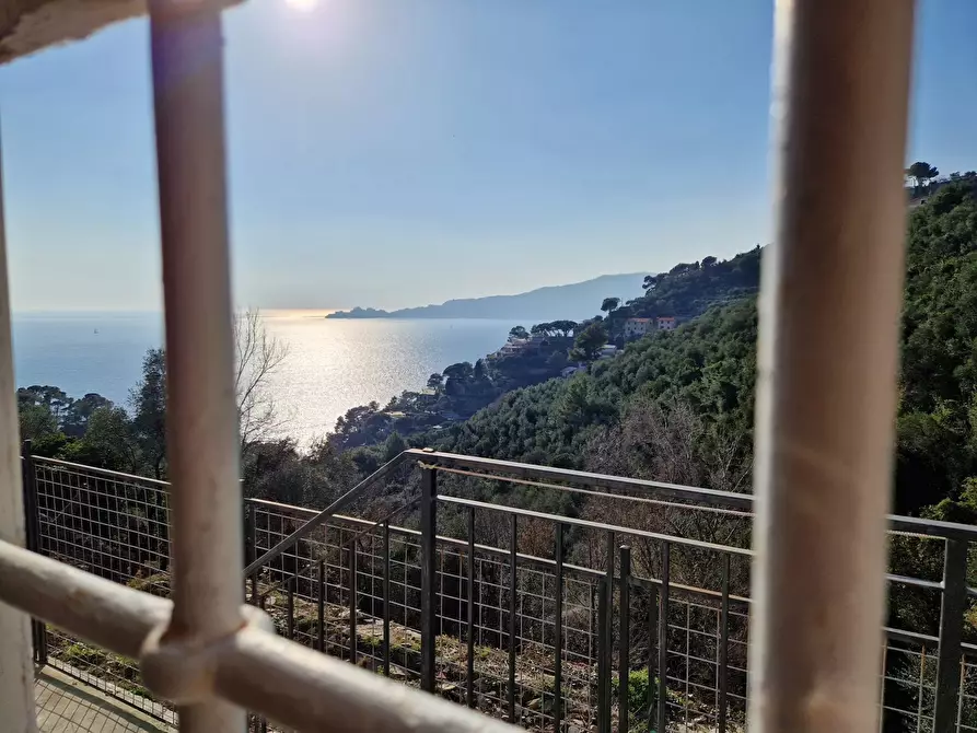 Immagine 7 di Casa trifamiliare in vendita  in Sant'Andrea di Rovereto a Chiavari