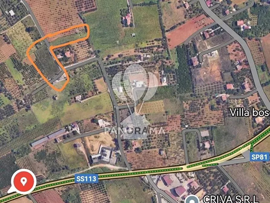 Immagine 3 di Terreno in vendita  in B&B falconeria a Partinico