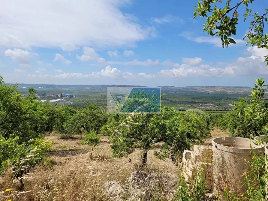 Immagine 5 di Terreno in vendita  a Noto