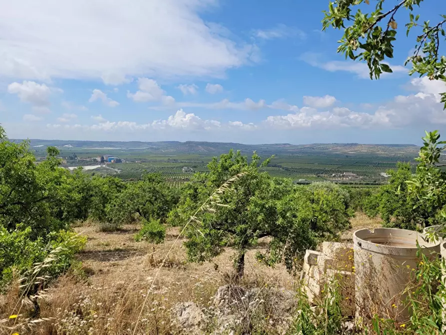 Immagine 1 di Terreno in vendita  in Contrada San Paolo a Noto