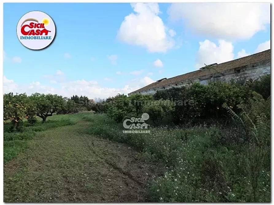 Immagine 3 di Monolocale in vendita  a Marsala