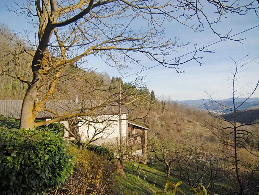 Immagine 25 di Terreno edificabile in vendita  a Albaretto Della Torre