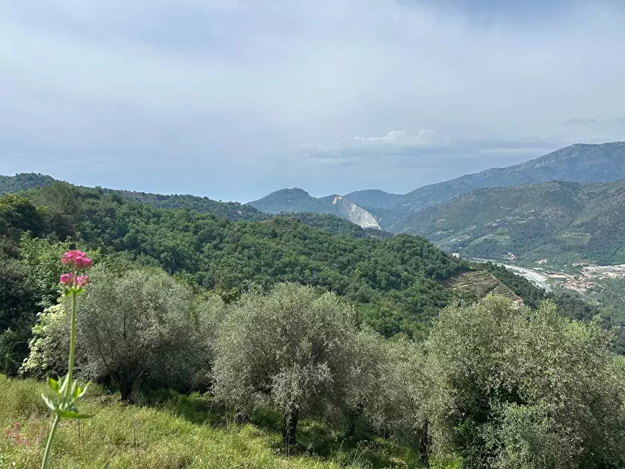 Immagine 10 di Terreno edificabile in vendita  in Frazione Verrandi, 9 a Ventimiglia