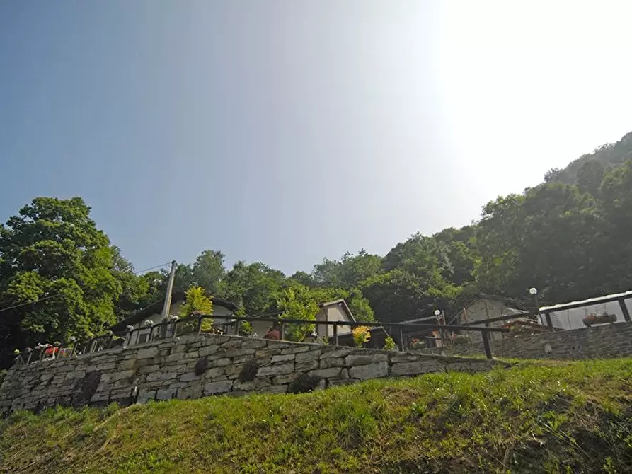 Immagine 2 di Terreno edificabile in vendita  a Bellino