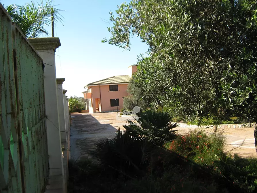 Immagine 66 di Terreno edificabile in vendita  a Marsala