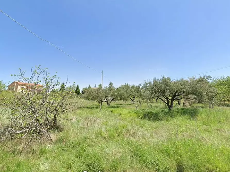 Immagine 1 di Terreno in vendita  a Belsito