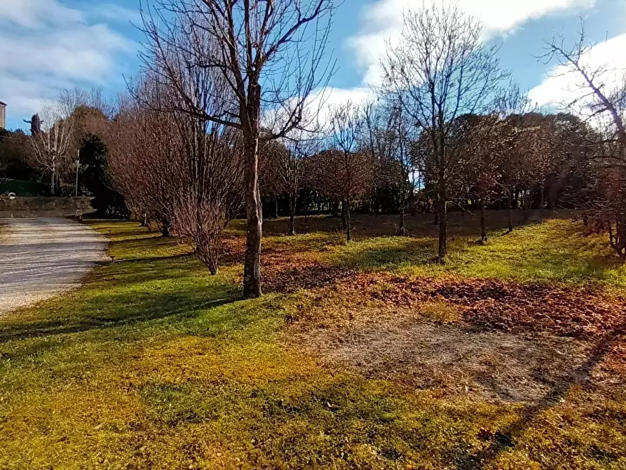 Immagine 37 di Terreno edificabile in vendita  a Refrontolo