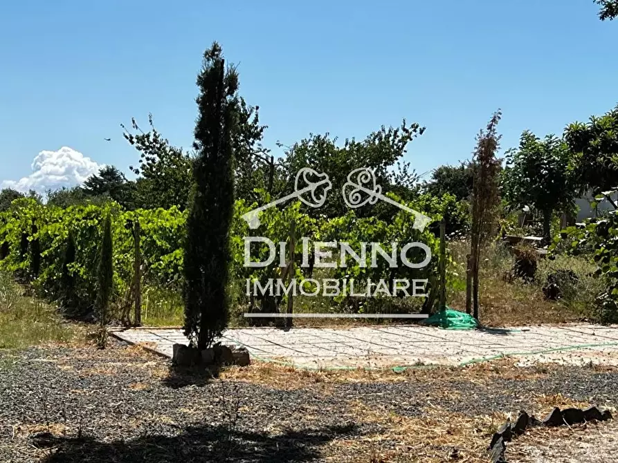 Immagine 40 di Terreno edificabile in vendita  in Strada Valle del Dragone a Arlena Di Castro