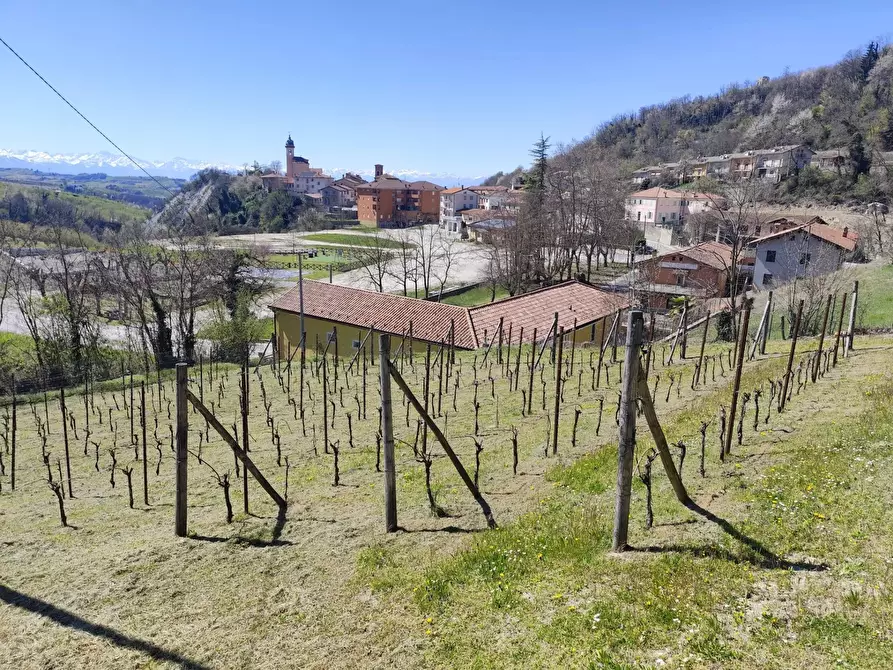 Immagine 55 di Terreno edificabile in vendita  a Barolo