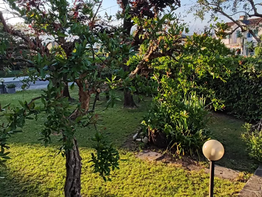 Immagine 4 di Casa trifamiliare in vendita  a Santa Lucia Di Piave
