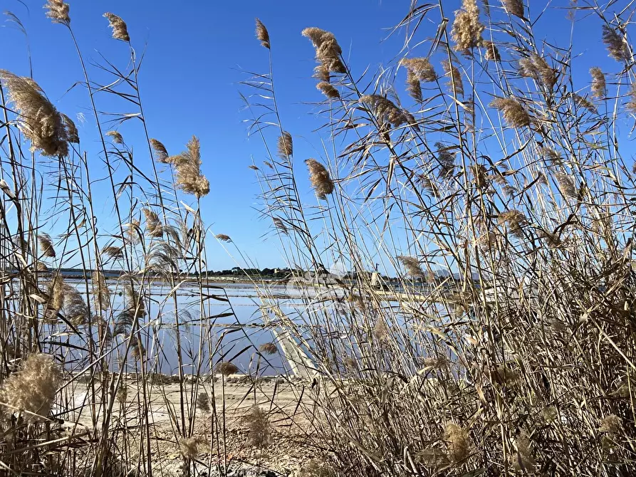Immagine 15 di Terreno in vendita  a Marsala