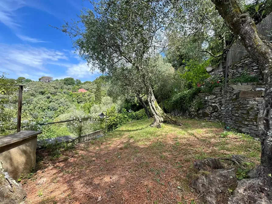 Immagine 25 di Terreno edificabile in vendita  in Via San Bernardo a Avegno
