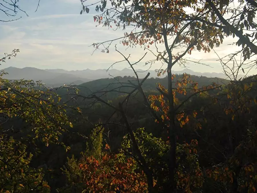 Immagine 12 di Attico in vendita  a Alto