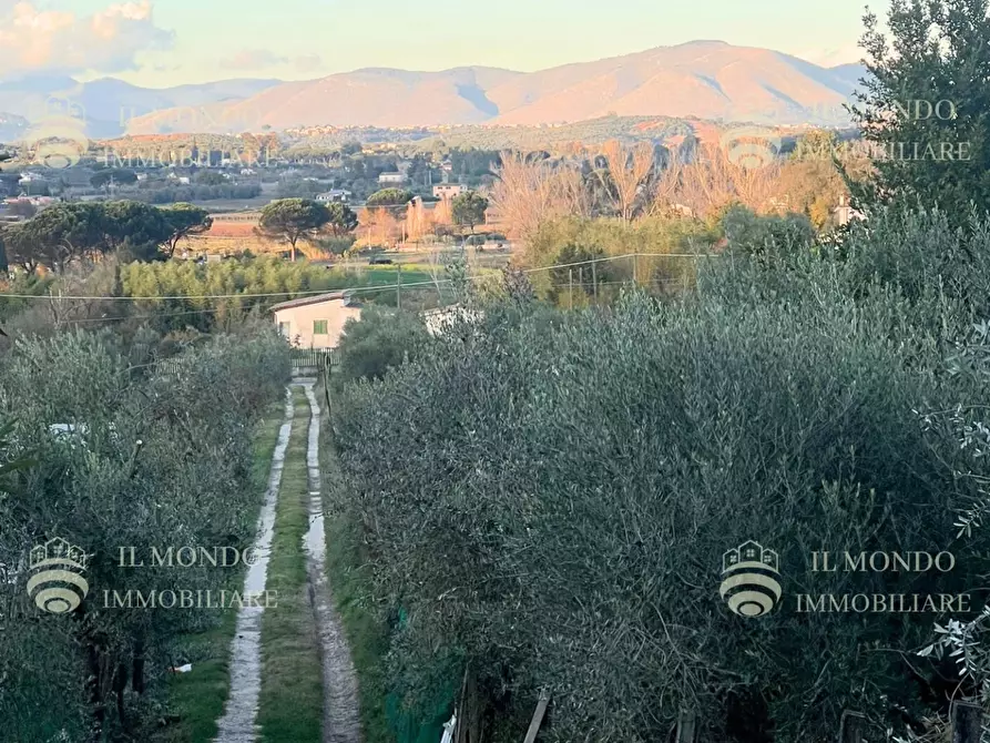Immagine 15 di Casa trifamiliare in affitto  in Strada di Colle Pedeschiavo a Palombara Sabina