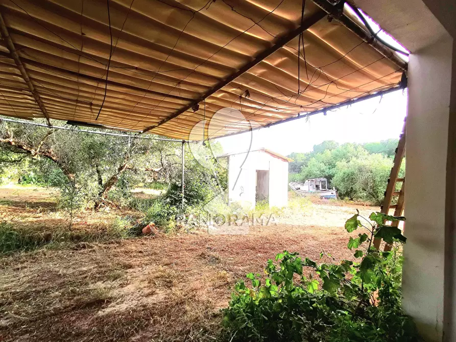 Immagine 10 di Terreno edificabile in vendita  in SS113 a Partinico