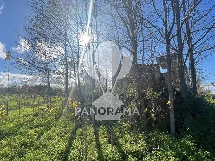 Immagine 3 di Terreno edificabile in vendita  in contrada velez a Balestrate