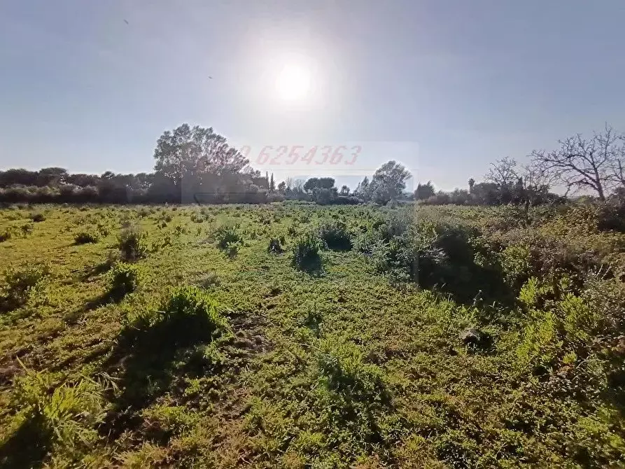 Immagine 3 di Terreno in vendita  in Traversa Masseria Gargallo a Siracusa