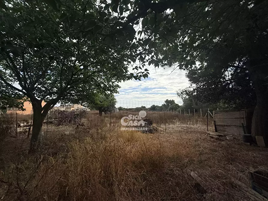 Immagine 5 di Terreno edificabile in vendita  a Marsala