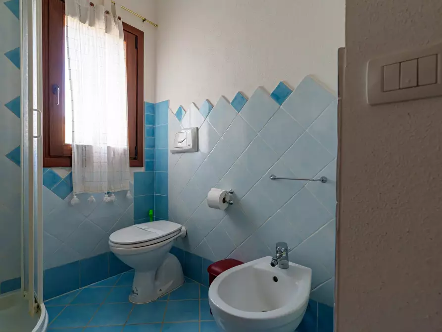 Immagine 22 di Casa trifamiliare in vendita  in Via Massimo Kolbe, 4 a Aggius