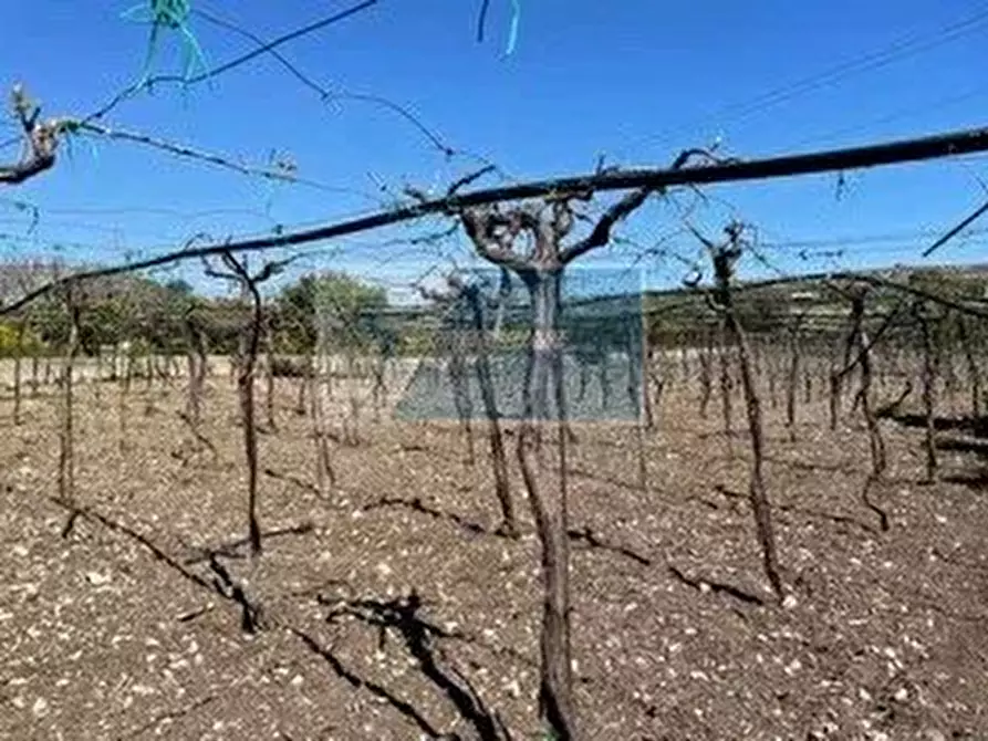 Immagine 18 di Terreno edificabile in vendita  a Siracusa