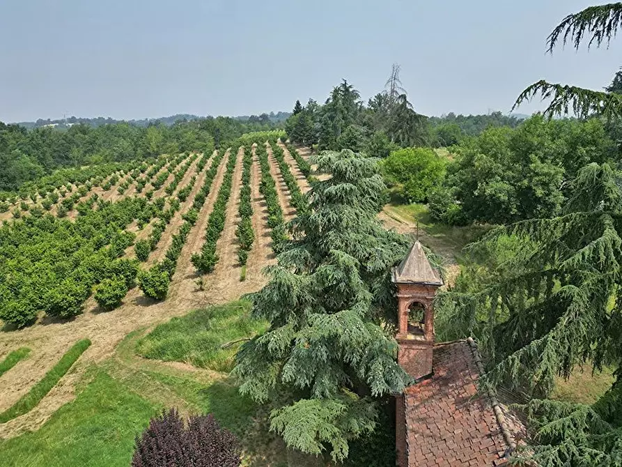 Immagine 4 di Terreno edificabile in vendita  a Asti