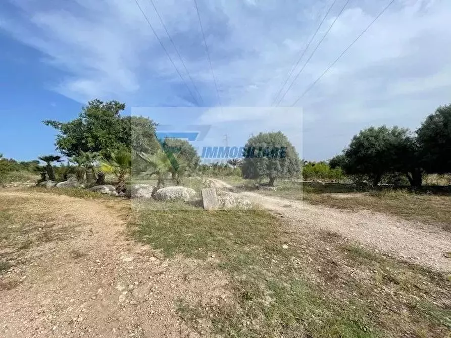 Immagine 20 di Terreno in vendita  in Strada Carancino a Siracusa