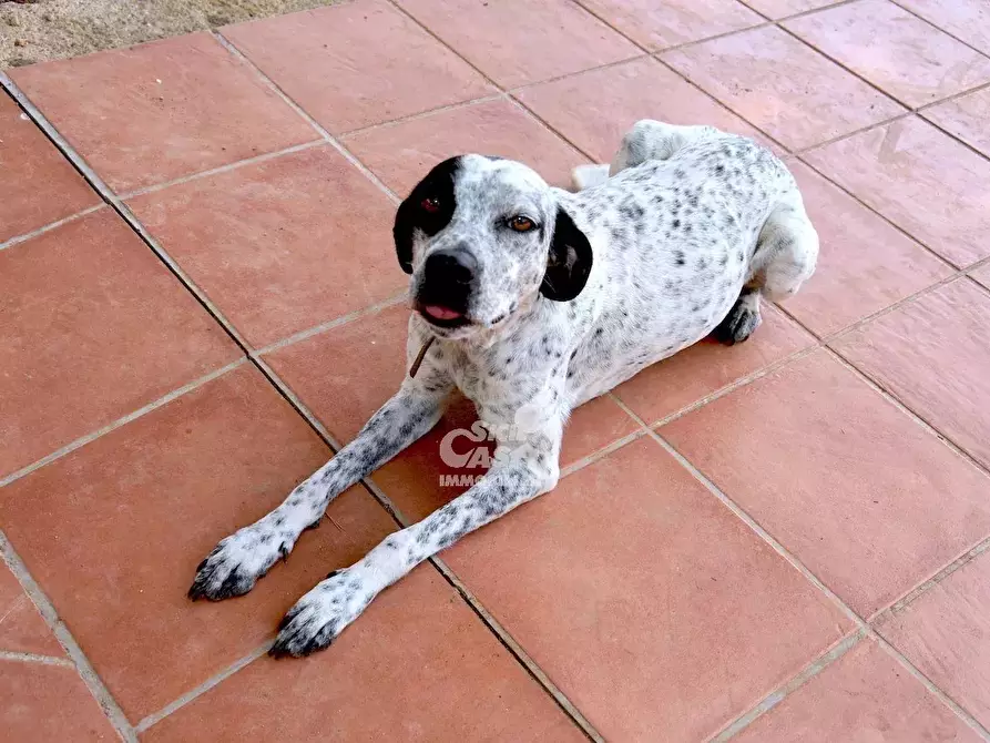 Immagine 55 di Terreno edificabile in vendita  a Marsala