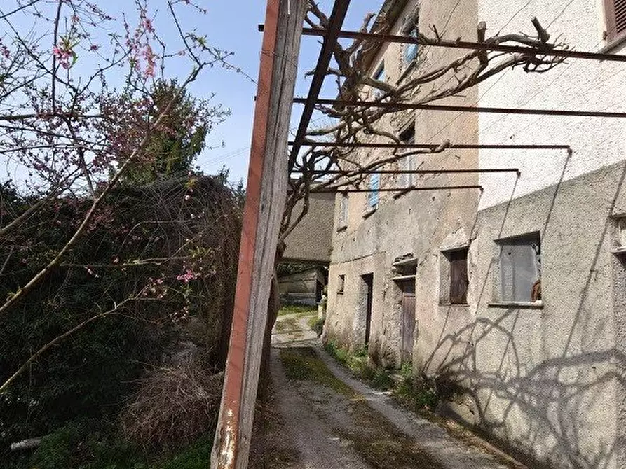 Immagine 2 di Terreno edificabile in vendita  a Avegno