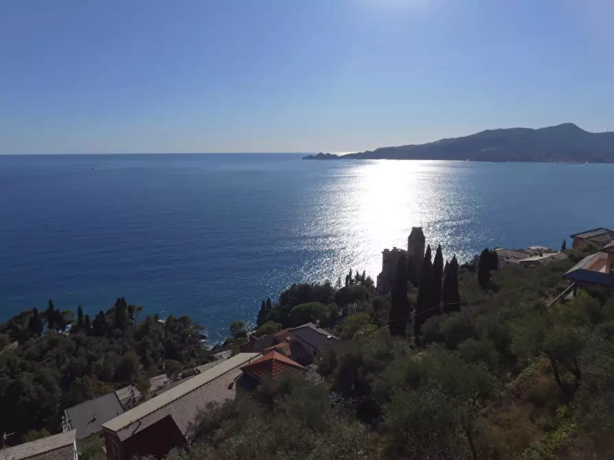 Immagine 24 di Terreno edificabile in vendita  in San Pietro de Rovereto a Avegno