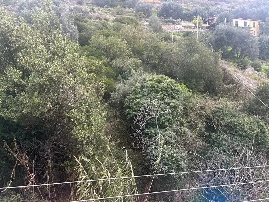 Immagine 10 di Casa trifamiliare in vendita  in Via Tenda, 44 a Ventimiglia