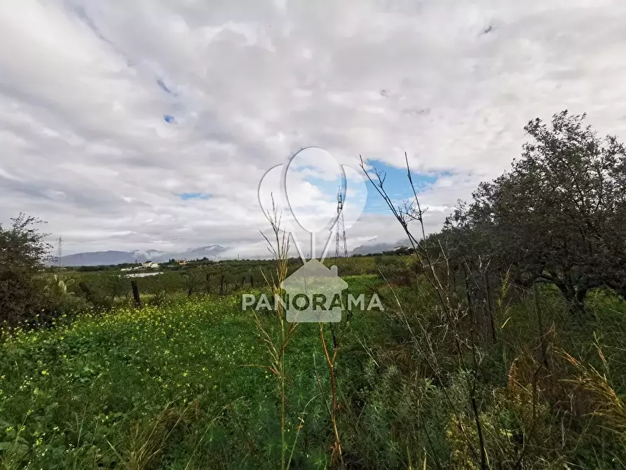 Immagine 1 di Terreno in vendita  in B&B falconeria a Partinico