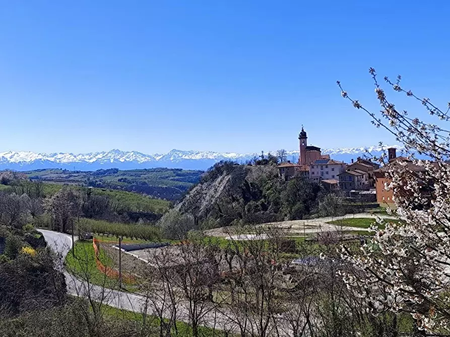 Immagine 46 di Terreno edificabile in vendita  a Barolo
