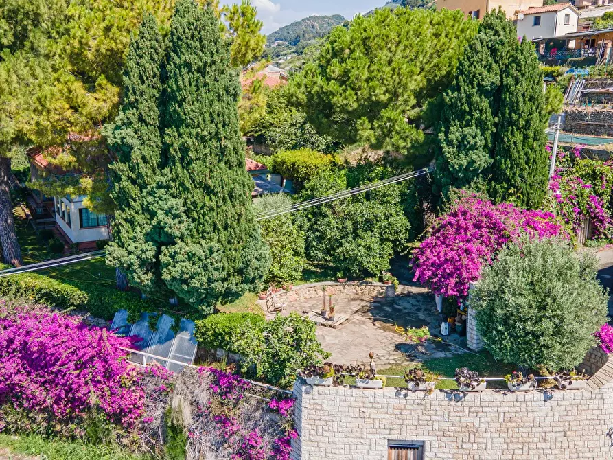 Immagine 5 di Terreno edificabile in vendita  in Via alle Ville 3 a Ventimiglia