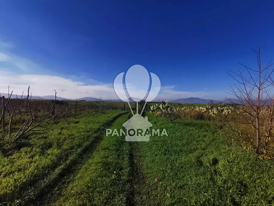 Immagine 10 di Terreno in vendita  a Partinico