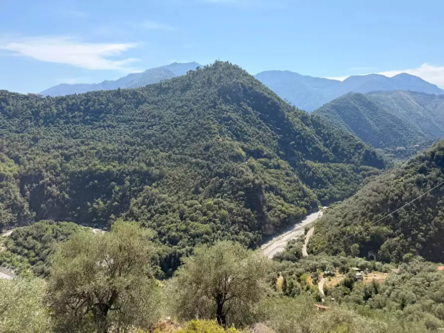 Immagine 10 di Terreno edificabile in vendita  a Airole