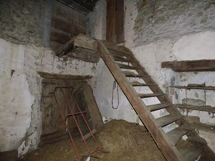 Immagine 17 di Terreno edificabile in vendita  a Pamparato