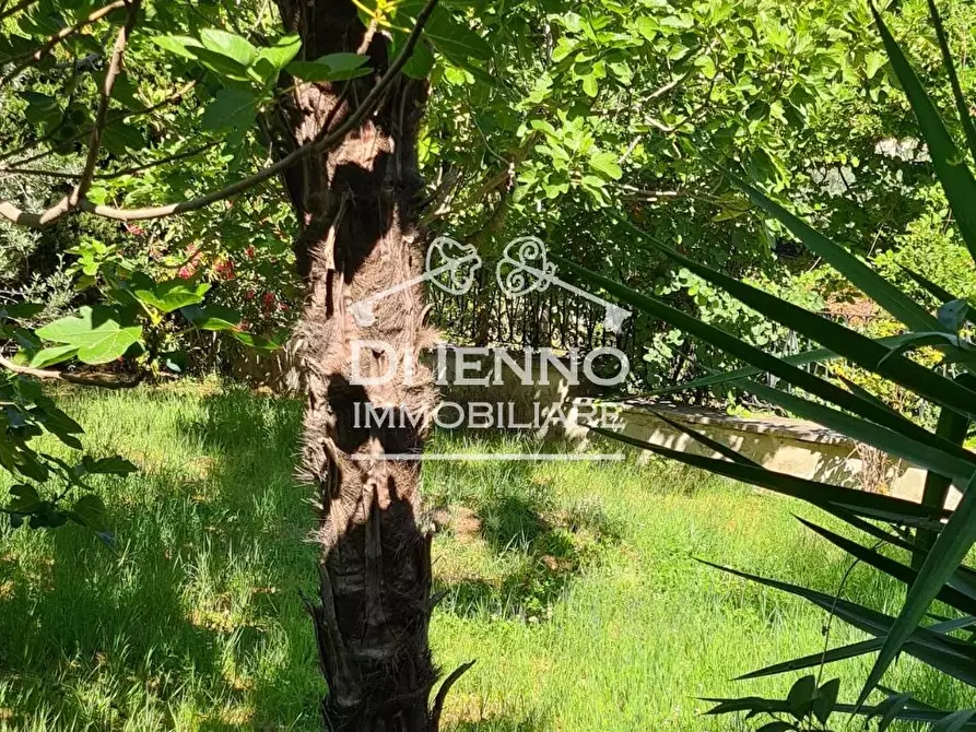 Immagine 4 di Terreno edificabile in vendita  in Canneto Sabino a Casaprota