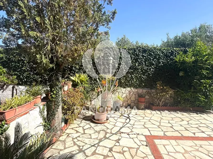 Immagine 20 di Terreno edificabile in vendita  in Piano di Tresca snc a Balestrate