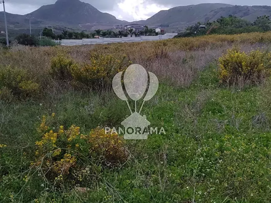 Immagine 5 di Terreno in vendita  in Rurale 14 a Partinico