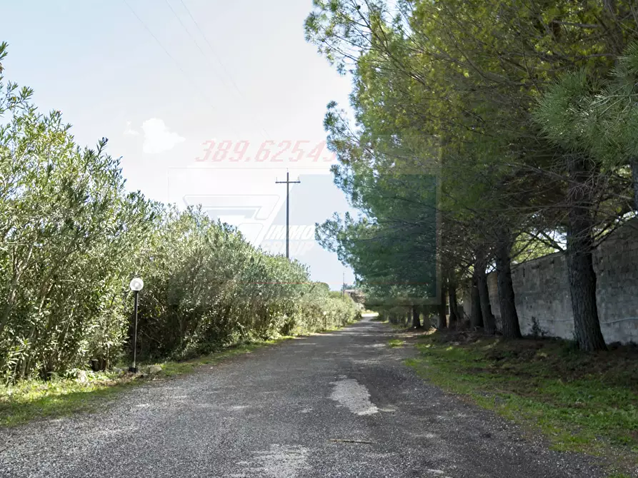 Immagine 24 di Casa trifamiliare in vendita  in Contrada Piano Milo a Noto
