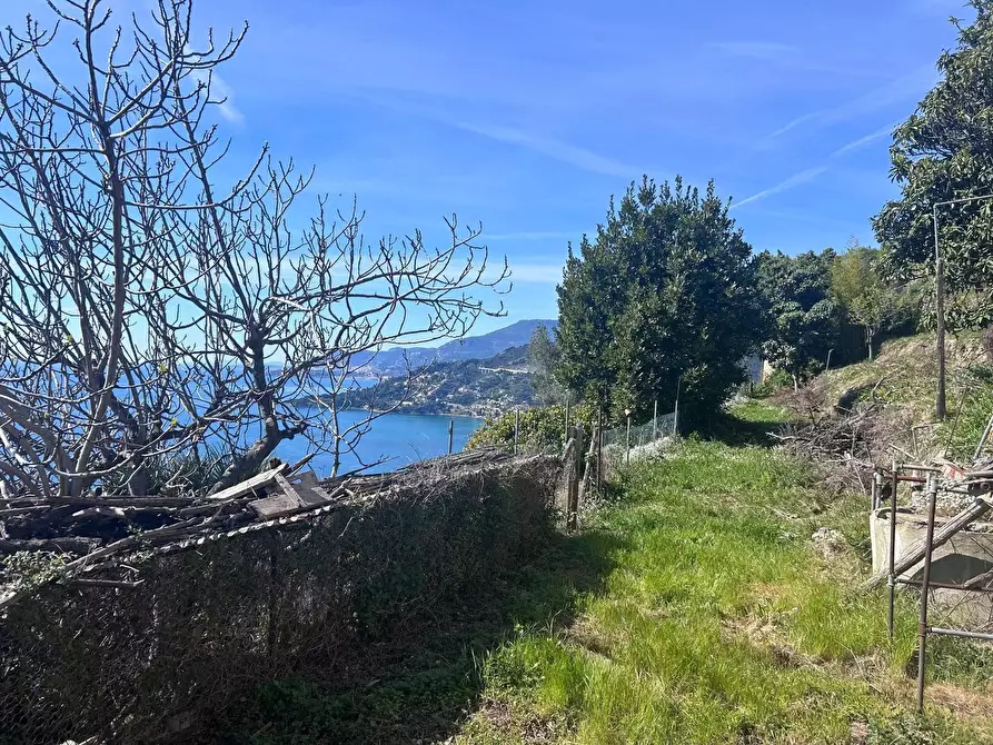 Immagine 4 di Casa trifamiliare in vendita  in Località Peidaigo, 15 a Ventimiglia
