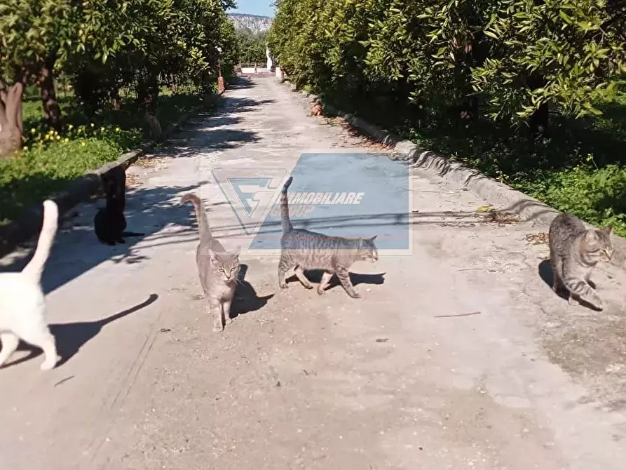 Immagine 50 di Terreno edificabile in vendita  in Traversa Sinerchia a Siracusa