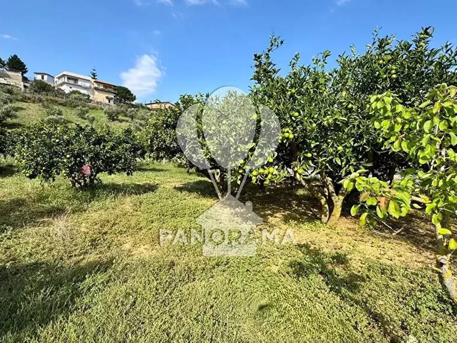 Immagine 20 di Terreno in vendita  in Contrada Timpi Rossi a Alcamo