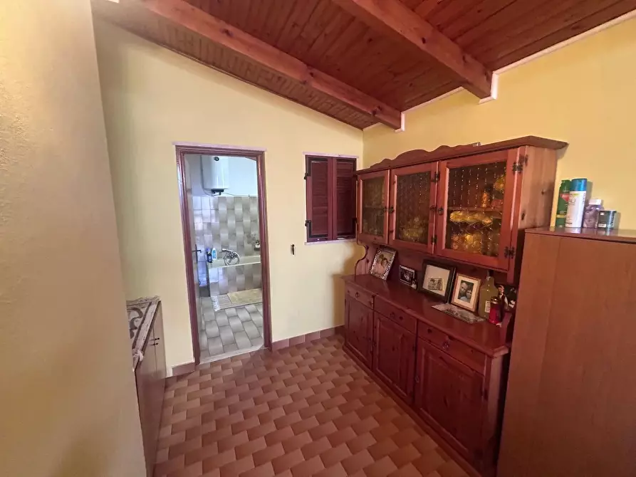 Immagine 5 di Terreno edificabile in vendita  in Località Peidaigo, 77 a Ventimiglia