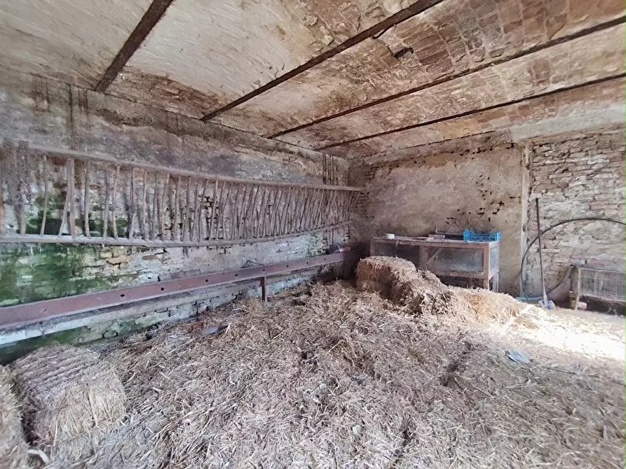 Immagine 21 di Terreno edificabile in vendita  a San Damiano D'asti