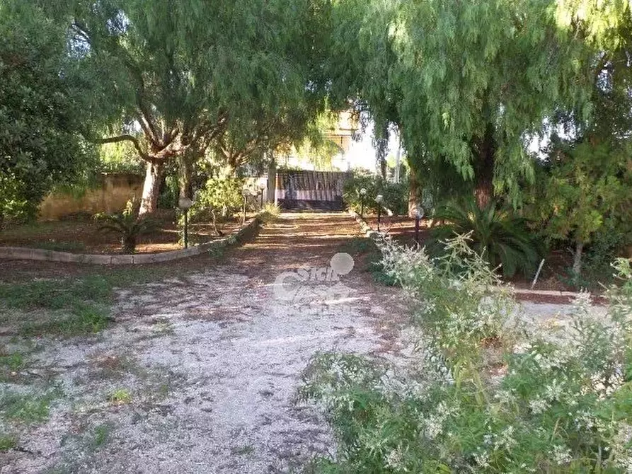 Immagine 2 di Terreno edificabile in vendita  a Marsala