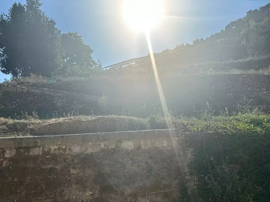 Immagine 19 di Casa trifamiliare in vendita  in Via Correntina, 18 a San Biagio Della Cima