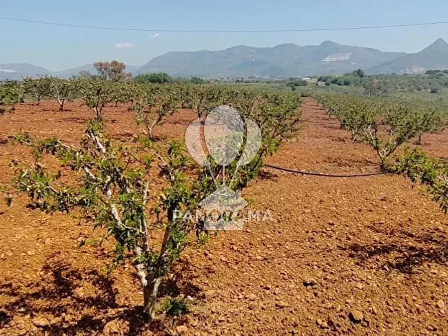 Immagine 1 di Terreno in vendita  in Via Adda Partinico a Partinico